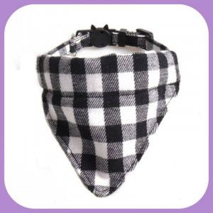 Collar-031